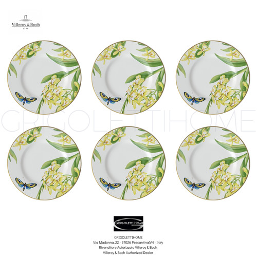 Villeroy boch amazonia - &,