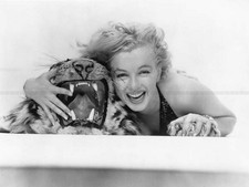 Photo Marilyn Monroe - Noir et