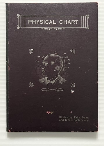 Physical chart pains aches - physical, pains,