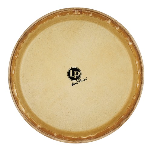 Lp274c testina di - lp274c,