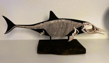 Scheletro replica fossile Baby