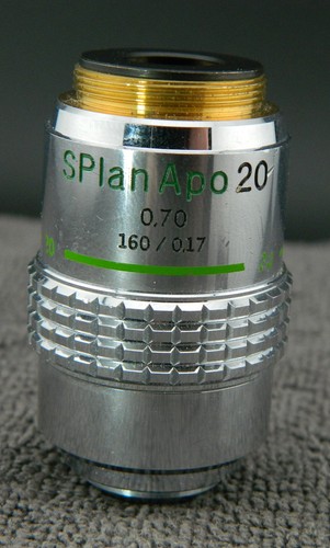 Ecce olympus splan apo 20x - *ecce*,