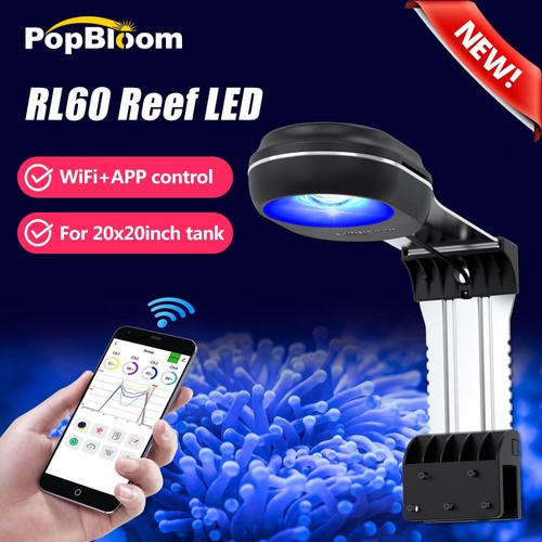 Popbloom led illuminazione - popbloom,