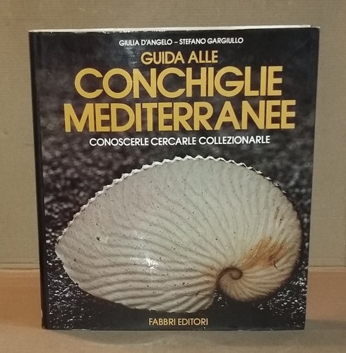 Angelo gargiullo guida - /,