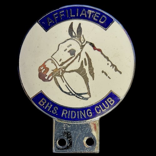British horse society - horse,