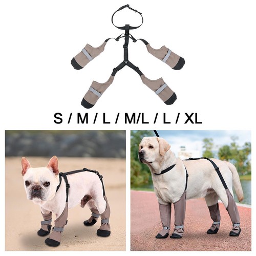 Stivali con bretelle per - , cani