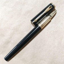 Penna stilografica Parker 5th