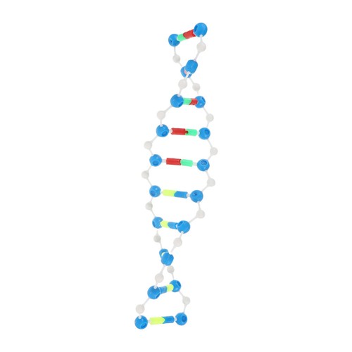 Modello molecolare dna - modello,