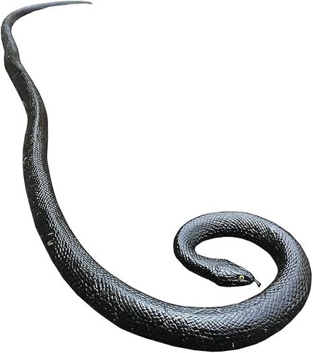 Serpente gomma serpenti - serpente,