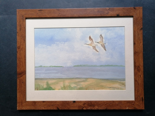 Contemporary landscape - contemporary,