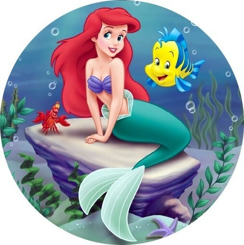Cialda ariel rettangolare - ariel, /