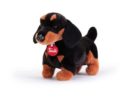 Trudi bassotto leo - leo, cane