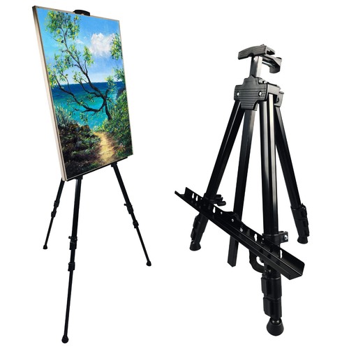 Espositore pittura artista - espositore,
