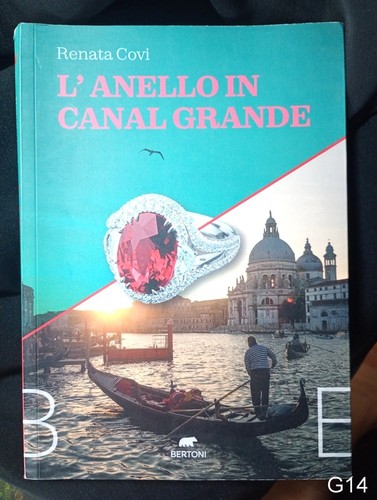 Anello canal grande - canal, di