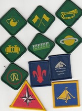 Boy Scout Badges Ext
