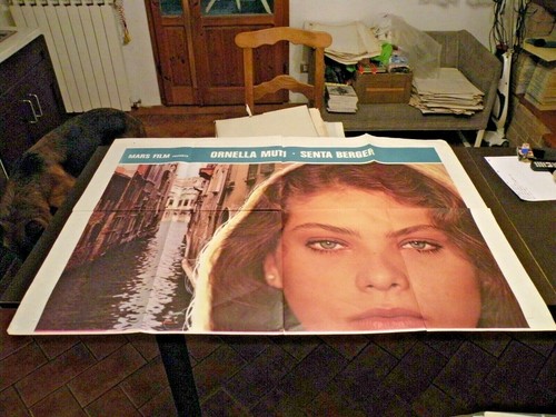 Gigantografia ritratto - gigantografia,