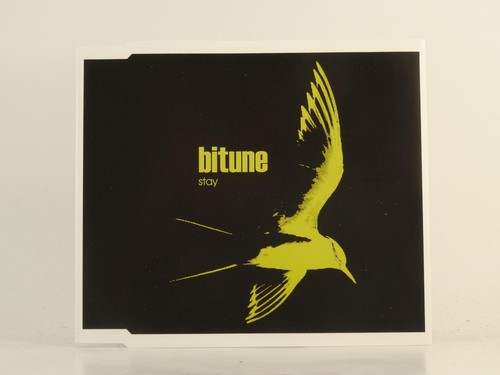 Bitune stay track - bitune,
