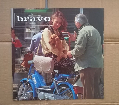 Brochure vendita paiggio bravo - brochure,