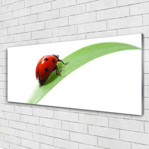 Immagine arte parete vetro - immagine,