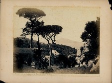Photo Circa 1880, Massa