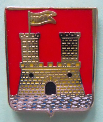 Distintivo spilla pin - pin, badge