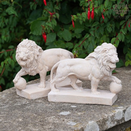 Coppia grandi statue leone - coppia,