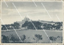 bi203 cartolina livorno citta'