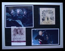 SIGUR ROS+SIGNED+GALLERY