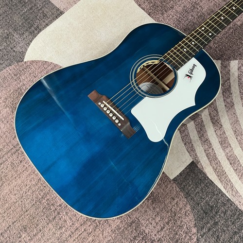 Chitarra elettrica acustica
