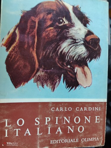 Cardini lo spinone - -,