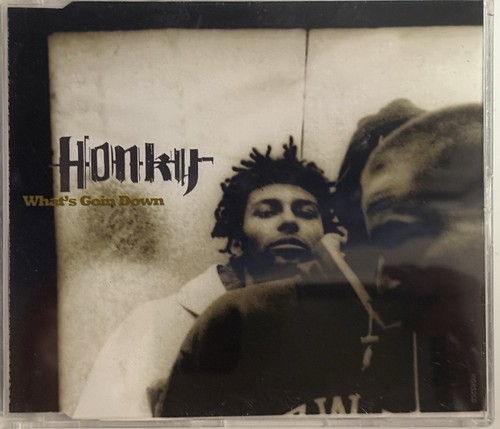 Honk whats goin down single - down, cd