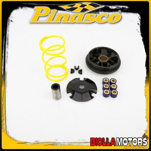 10260280 variatore pinasco - variatore,