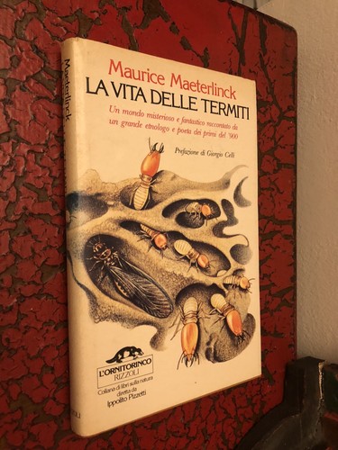 Vita delle termiti - la,