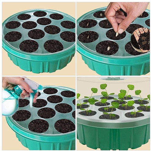 Scatole per germinazione