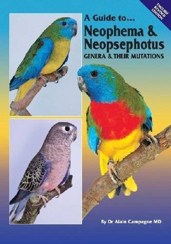 Neophema and neopsephotus - neophema,