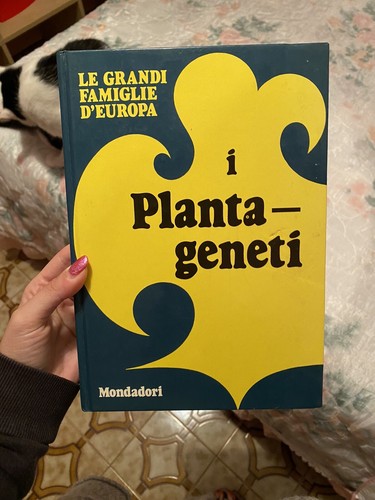 Libro grandi famiglie - libro,