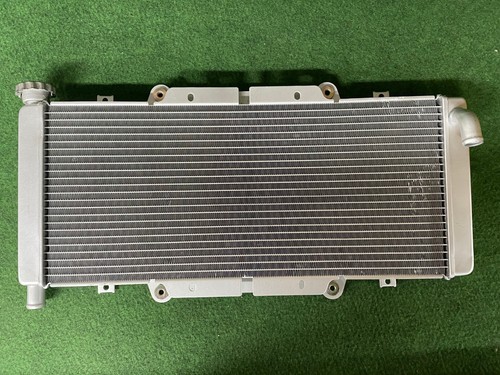Originale quadzilla rl500 - quadzilla,