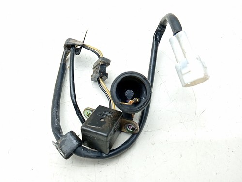 Pick captatore originale - pick, up