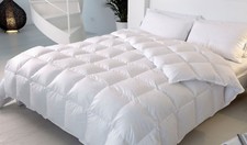 Piumino oca invernale interno Daunenstep D600 matrimoniale 2 piazze cm 250x200 