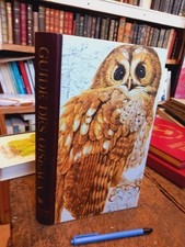 Guida Degli Uccelli Selezione