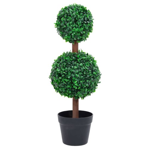 Vidaxl pianta bosso - vidaxl,
