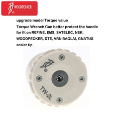 Woodpecker TW-2L dentistico