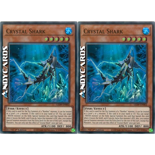 Crystal shark squalo - crystal, •