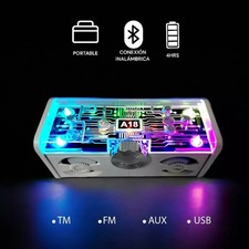 CASSA AMPLIFICATA PORTATILE