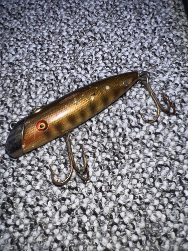 South bend fish oreno - bend,