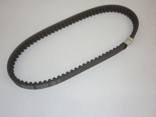 Cinghia trasmissione dayco - cinghia,