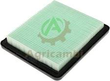 Filtro Aria Rasaerba per Honda