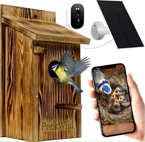 Smart bird box con telecamera - smart,