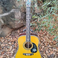 Chitarra acustica ALL Solid