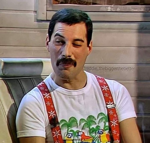 Shirt indossata freddie - da,